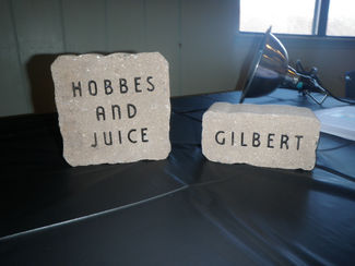 bricks